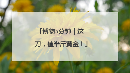 博物5分钟｜这一刀，值半斤黄金！