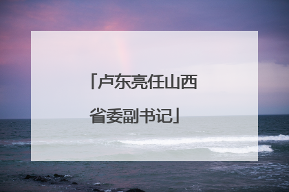 卢东亮任山西省委副书记