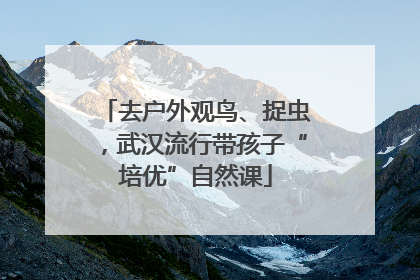 去户外观鸟、捉虫，武汉流行带孩子“培优”自然课
