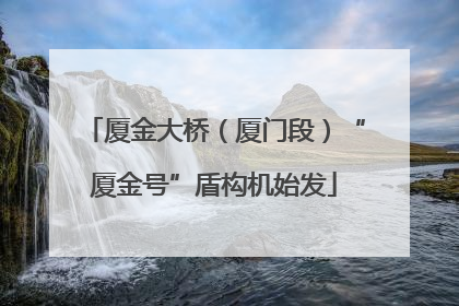 厦金大桥（厦门段）“厦金号”盾构机始发