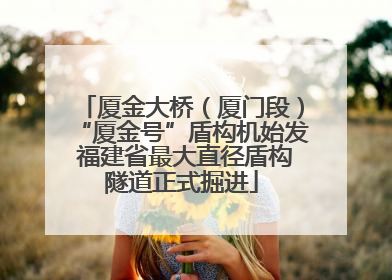 厦金大桥（厦门段）“厦金号”盾构机始发 福建省最大直径盾构隧道正式掘进