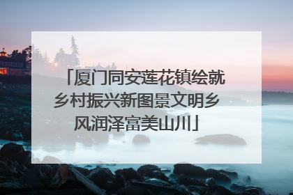 厦门同安莲花镇绘就乡村振兴新图景文明乡风润泽富美山川
