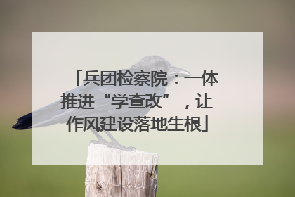兵团检察院：一体推进“学查改”，让作风建设落地生根