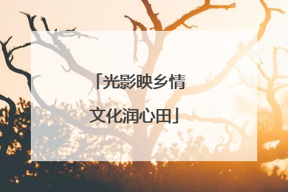 光影映乡情 文化润心田