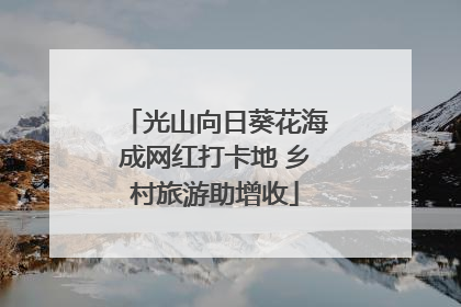 光山向日葵花海成网红打卡地 乡村旅游助增收
