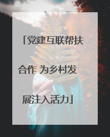 党建互联帮扶合作 为乡村发展注入活力