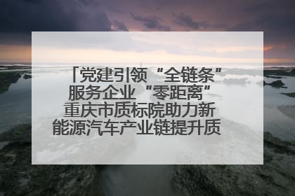 党建引领“全链条” 服务企业“零距离” 重庆市质标院助力新能源汽车产业链提升质量管理水平