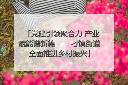 党建引领聚合力 产业赋能谱新篇——刁镇街道全面推进乡村振兴