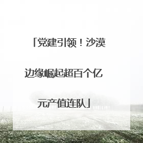 党建引领！沙漠边缘崛起超百个亿元产值连队