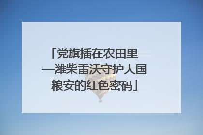 党旗插在农田里——潍柴雷沃守护大国粮安的红色密码