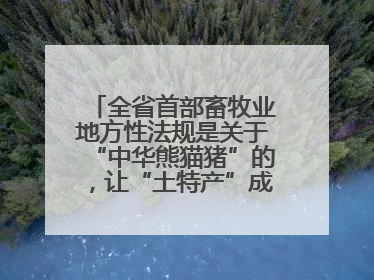 全省首部畜牧业地方性法规是关于“中华熊猫猪”的，让“土特产”成为“新国潮”，让“农产品”升格为“城市IP”