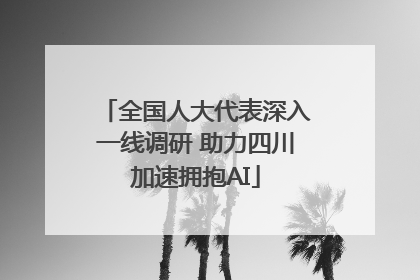 全国人大代表深入一线调研 助力四川加速拥抱AI