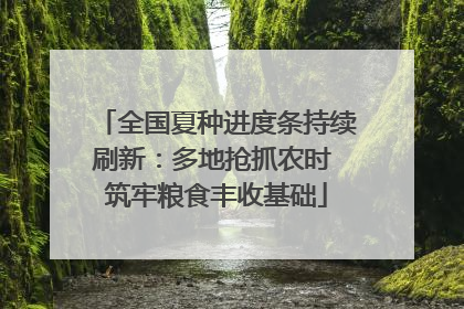 全国夏种进度条持续刷新：多地抢抓农时 筑牢粮食丰收基础