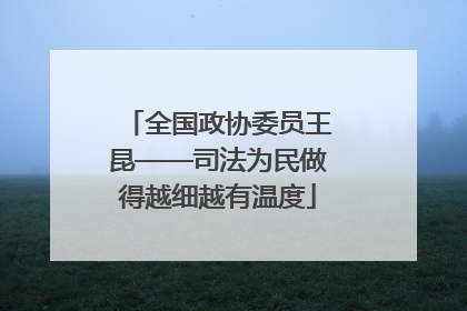 全国政协委员王昆——司法为民做得越细越有温度