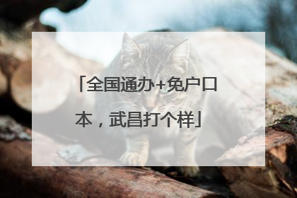 全国通办+免户口本，武昌打个样