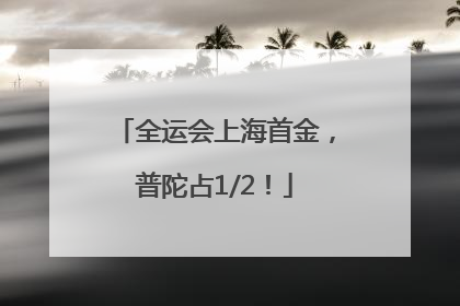 全运会上海首金，普陀占1/2！