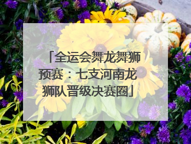 全运会舞龙舞狮预赛：七支河南龙狮队晋级决赛圈