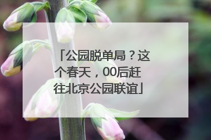 公园脱单局？这个春天，00后赶往北京公园联谊