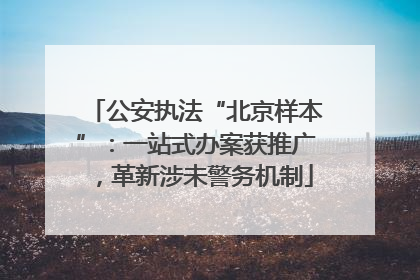 公安执法“北京样本”：一站式办案获推广，革新涉未警务机制