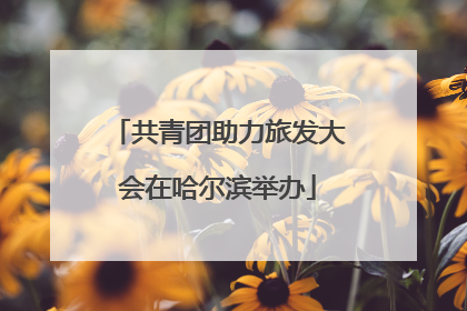 共青团助力旅发大会在哈尔滨举办