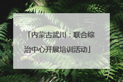 内蒙古武川：联合综治中心开展培训活动