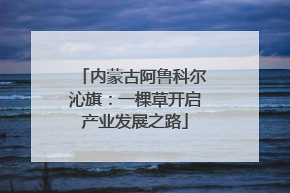 内蒙古阿鲁科尔沁旗：一棵草开启产业发展之路