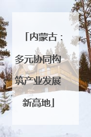 内蒙古：多元协同构筑产业发展新高地
