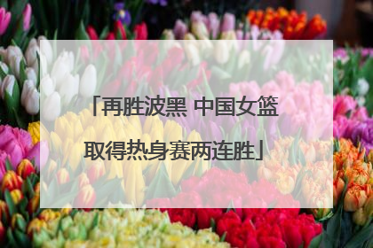 再胜波黑 中国女篮取得热身赛两连胜