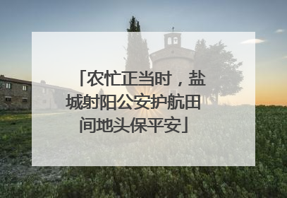 农忙正当时，盐城射阳公安护航田间地头保平安