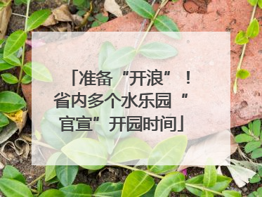准备“开浪”！省内多个水乐园“官宣”开园时间