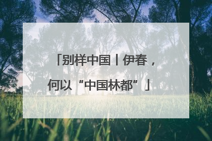 别样中国丨伊春，何以“中国林都”