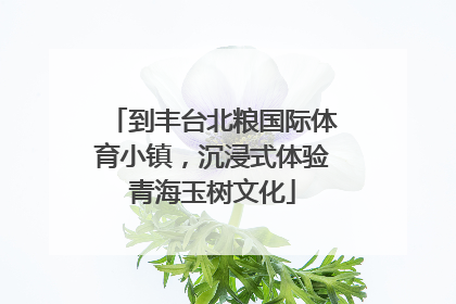 到丰台北粮国际体育小镇，沉浸式体验青海玉树文化