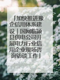 加快推进豫企信用体系建设｜国网临颍县供电公司开展电力行业信用企业现场咨询访谈工作