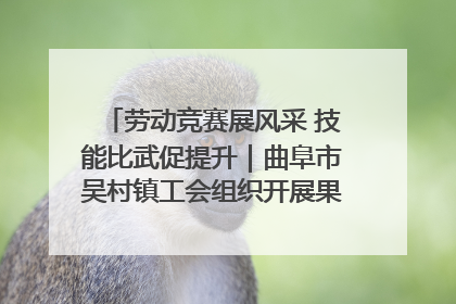 劳动竞赛展风采 技能比武促提升｜曲阜市吴村镇工会组织开展果树套袋技能竞赛