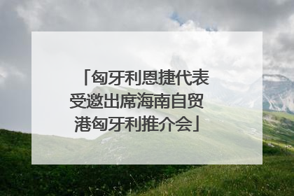 匈牙利恩捷代表受邀出席海南自贸港匈牙利推介会
