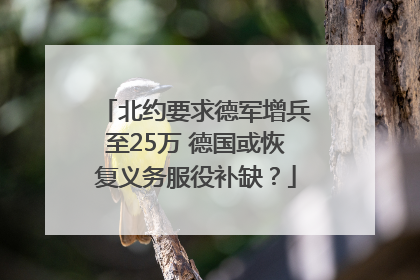 北约要求德军增兵至25万 德国或恢复义务服役补缺？