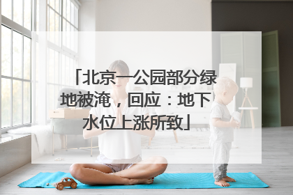 北京一公园部分绿地被淹，回应：地下水位上涨所致