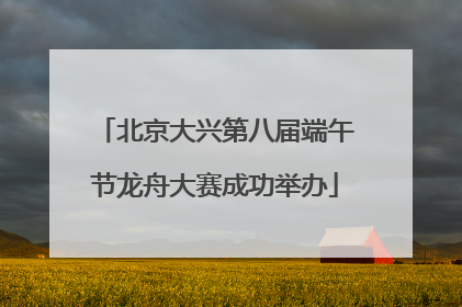 北京大兴第八届端午节龙舟大赛成功举办