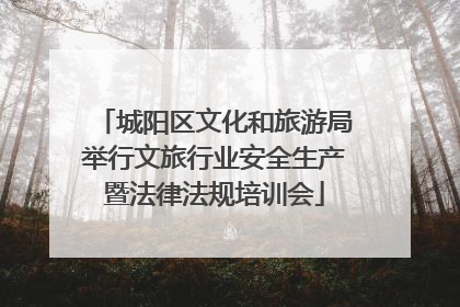 城阳区文化和旅游局举行文旅行业安全生产暨法律法规培训会
