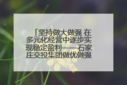 坚持做大做强 在多元化经营中逐步实现稳定盈利——石家庄交投集团做优做强典型报道之三
