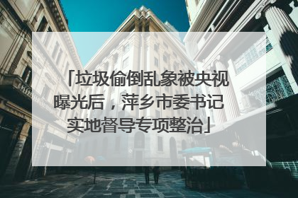 垃圾偷倒乱象被央视曝光后，萍乡市委书记实地督导专项整治