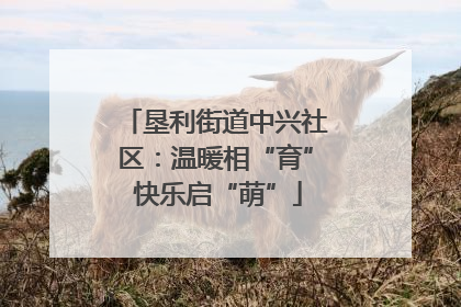 垦利街道中兴社区：温暖相“育” 快乐启“萌”