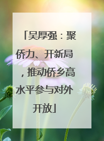 吴厚强：聚侨力、开新局，推动侨乡高水平参与对外开放