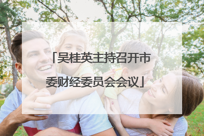 吴桂英主持召开市委财经委员会会议