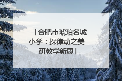 合肥市琥珀名城小学：探律动之美 研教学新思