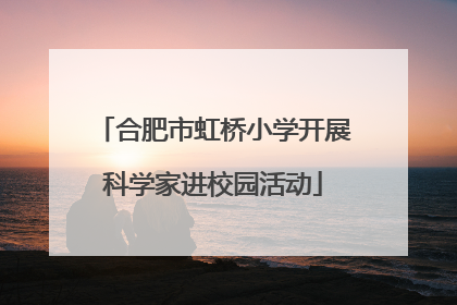 合肥市虹桥小学开展科学家进校园活动