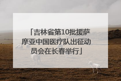 吉林省第10批援萨摩亚中国医疗队出征动员会在长春举行