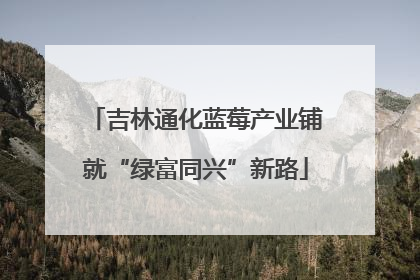 吉林通化蓝莓产业铺就“绿富同兴”新路