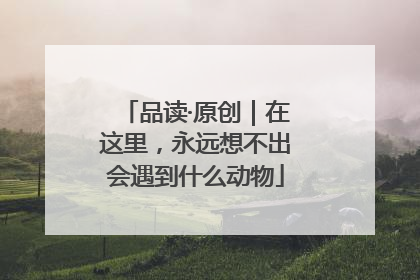 品读·原创｜在这里，永远想不出会遇到什么动物