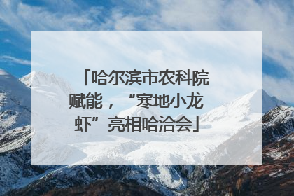 哈尔滨市农科院赋能，“寒地小龙虾”亮相哈洽会